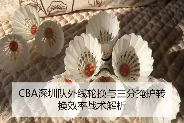shen-zhen-dui-wai-xian-lun-huan-yu-san-fen-yan-hu-zhuan-huan-xiao-lv-zhan-shu-jie-xi-2-855.jpg