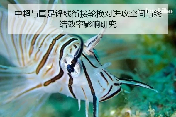 中超与国足锋线衔接轮换对进攻空间与终结效率影响研究